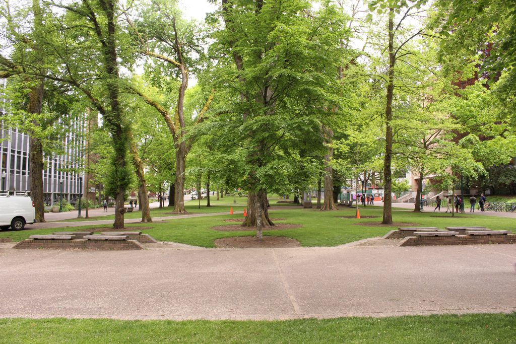 Park Block Trees/Alex Skousen