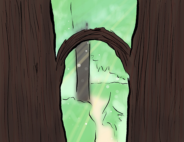 Two illustrated trees connected by a single arched branch, creating an entrance to a lush green forest beyond.